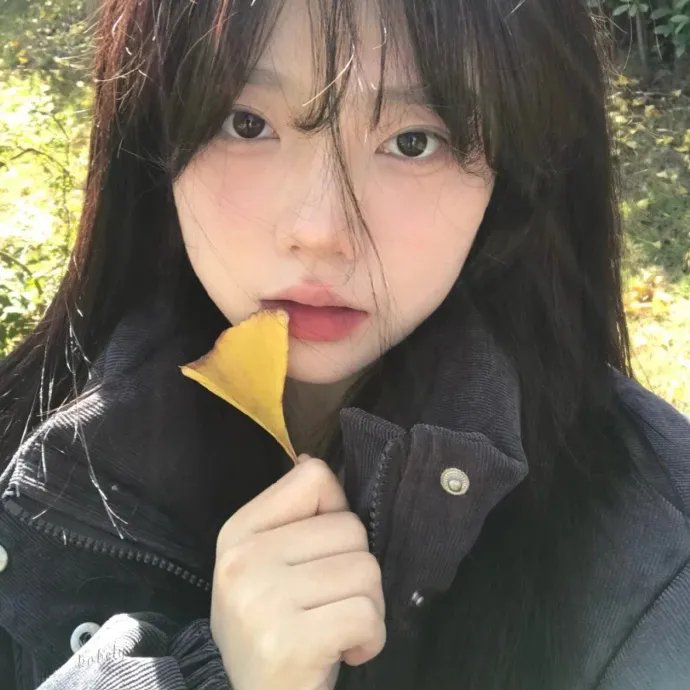 冒牌总统